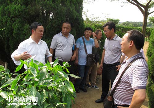 ����F(tu��n)һ�и��_�M(j��n)���r(n��ng)�I(y��)����