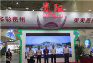 �F����Ą�(chu��ng)�a(ch��n)Ʒ���ࡰ��ʮ�ú��{�ɰ��Ļ��a(ch��n)�I(y��)���[����