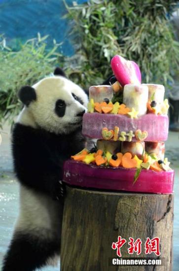 ���A�С��۱������� �����T�����sÓ����