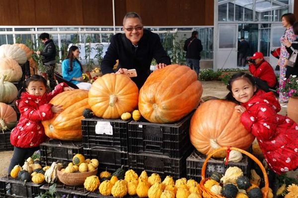 2016�V�|ʡ��ʮ��÷N�I(y��)���[��(hu��)�麣�֕�(hu��)��(ch��ng)�_(t��i)��(chu��ng)�@�_Ļ