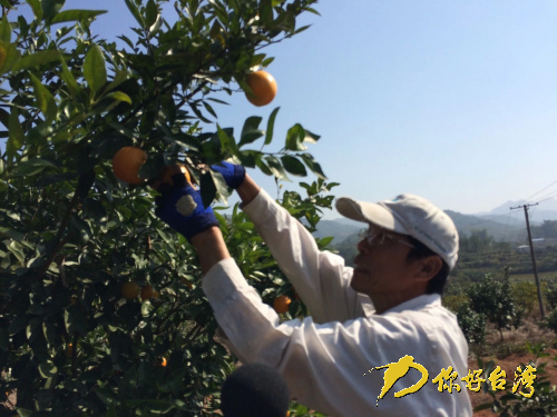 �_(t��i)���мҴ�ꑸ��Ю�(d��ng)�r(n��ng)��