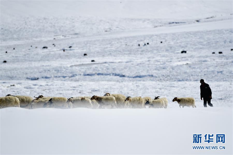 ���������1��ѩ��ļ�����ԭ