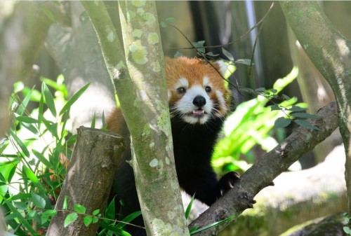 �����Ը��ݵ�С��؈�g�g19������������̎����ƨ�ɡ������_ý�D��