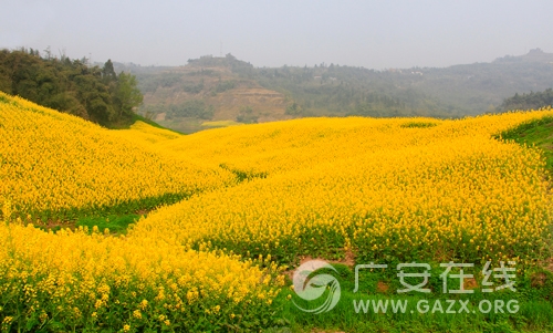 �Ͳ˻��_����ؽ��S ȥ�Ĵ��V���w���`���l��֮�ã�