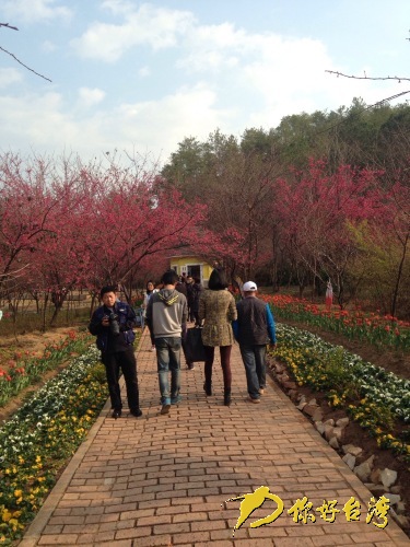 �_�̏�����