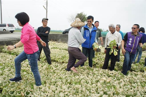 臺北農產頻繁休市致菜價崩盤 民進黨“綠色執政”成農民受害保證 臺北農產頻繁休市致菜價崩盤 民進黨“綠色執政”成農民受害保證