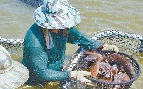 ʯ���~(y��)