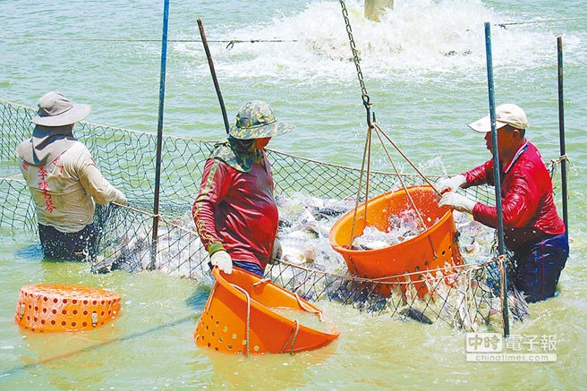 �������桰���С� �_�r�O�I���G�I�s�M���^