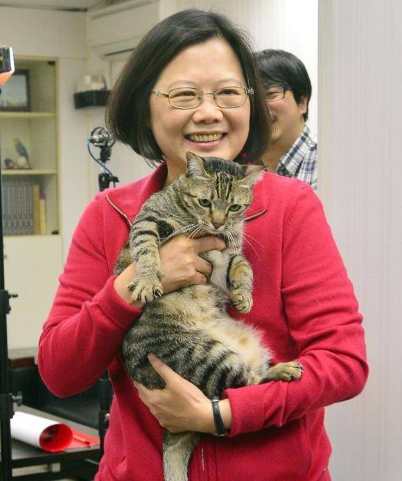 蔡英文資料照 蔡英文資料照