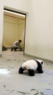 ����؈�������A�С��W���ϰ֡��F�F��Ҳ�u��