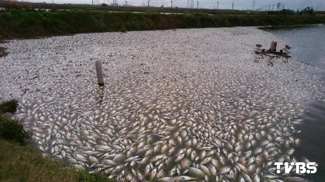 ���������д� �_�����������fβ�I�ߓpʧ�K��