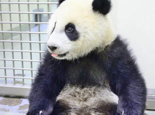 ����ϵ�A���L����-С��΢ͻ�����냺�ʡ�