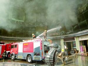 ��ĬF���⟟�L�L�������ˆT�ڬF��չ�_��Ԯ��