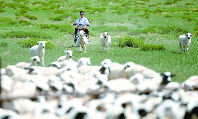 �D�Ͱlչ����o���L�ⱼ�v��ȥ