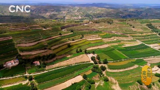 ������(x��)�� ��(x��)��ƽ�ɕ�(hu��)��䡡����(gu��)��ú�ɽ