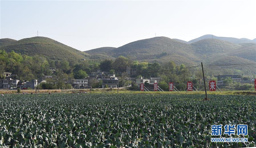 ���Q��(zh��n)�Q��Óؚ����(ji��n)���D�Ļ���(d��ng)����2�����(xi��ng)����Ų��a(b��)�RÓؚ����(ji��n)���̰塱�����F����¡�h��ؚһ������Ҋ(ji��n)