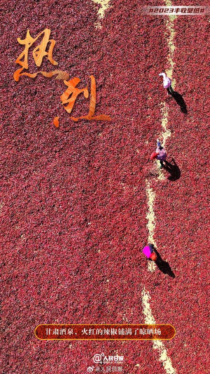 ����S�մ���������˱ڼ�