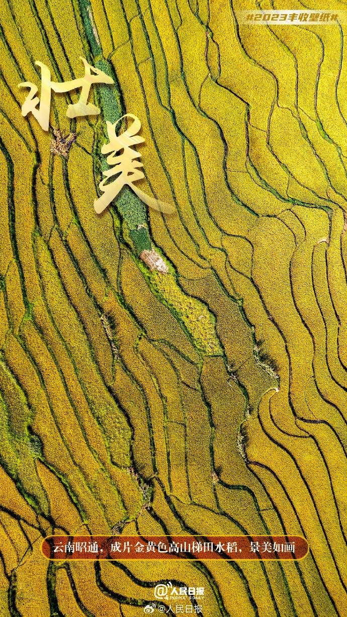 ����S�մ���������˱ڼ�