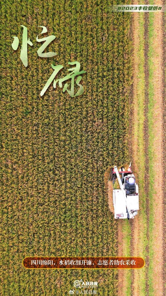 ����S�մ���������˱ڼ�