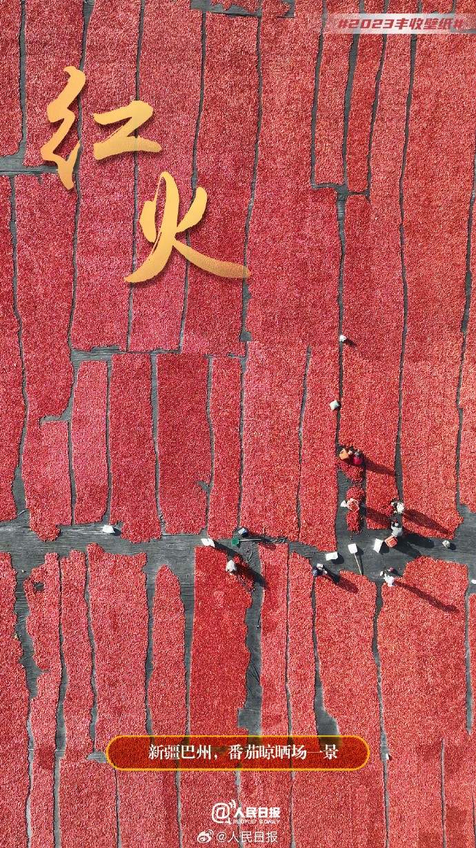 ����S�մ���������˱ڼ�