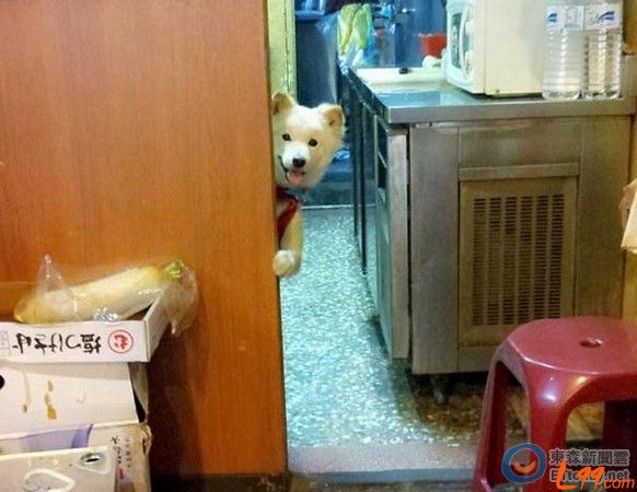  �I�B����ُ�I���_�����˹�̽�^�u��������ȥ�ϰ�