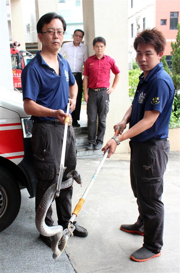 �����ˆTʹ�M���N�������������1�l�L(zh��ng)��1�����R�ߡ�