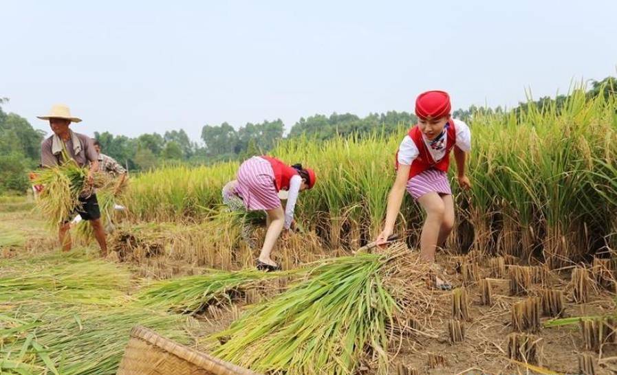 �Ĵ��ʿս㴩�Ʒ�ȹ�M�r���յ���