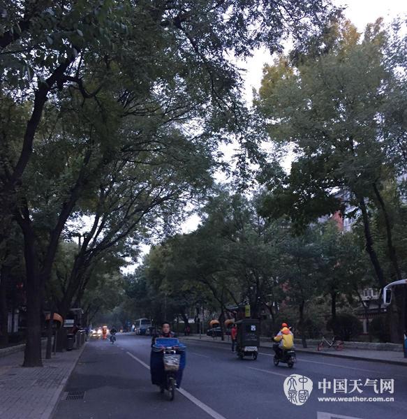 7���糿�����������F����ɢ��������^�������������(y��n)��(sh��)���������� �z��