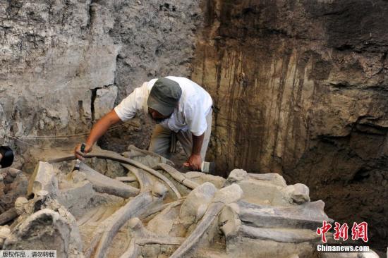 ����������ʯ��2015��12�±��l�F�������������r�ڡ�