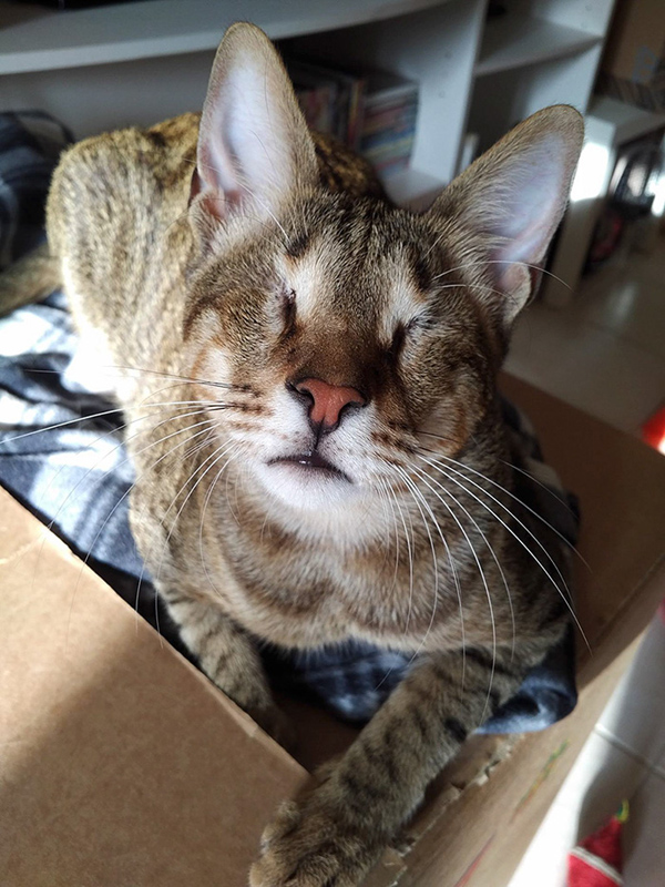 �DƬĬ�J���}