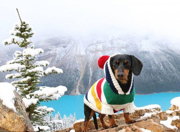 ��(j��)Ӣ����ÿ���]��(b��o)����(b��o)�������ô�7�q���D�cȮ�������ǂ�(g��)�W(w��ng)�t�����ڡ�Ę�V�����ѾW(w��ng)վ����140�f���۽z��