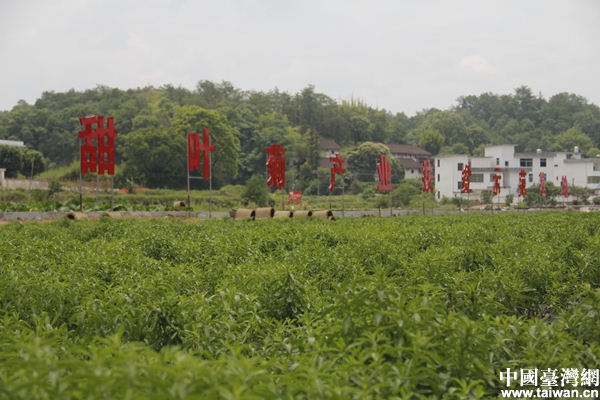 【鏡頭中的脫貧故事】精準(zhǔn)扶貧為農(nóng)戶增收找出路 【鏡頭中的脫貧故事】精準(zhǔn)扶貧為農(nóng)戶增收找出路