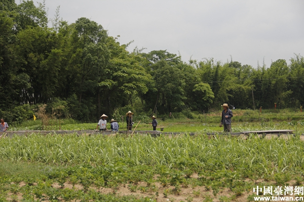【鏡頭中的脫貧故事】精準(zhǔn)扶貧為農(nóng)戶增收找出路 【鏡頭中的脫貧故事】精準(zhǔn)扶貧為農(nóng)戶增收找出路