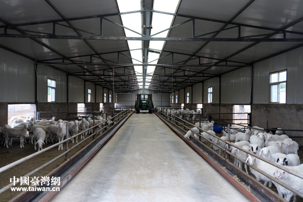 先富帶后富 共奔富裕路——甘肅省廣河縣寺后子村的扶貧故事 先富帶后富 共奔富裕路——甘肅省廣河縣寺后子村的扶貧故事