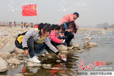 �������٣��W���Gɫ�h����Ӣ��