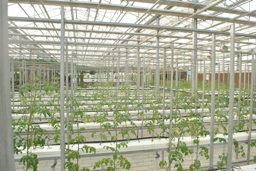 �Wý�����:�_�ń������������~����H������